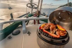 Cobb Grill Supreme Deluxe 2.0 Holzkohlegrill - Modell 2023 -Grill Mit Freu Geschaft Cobb Grill Supreme Deluxe 2 0 600 1 Griddle