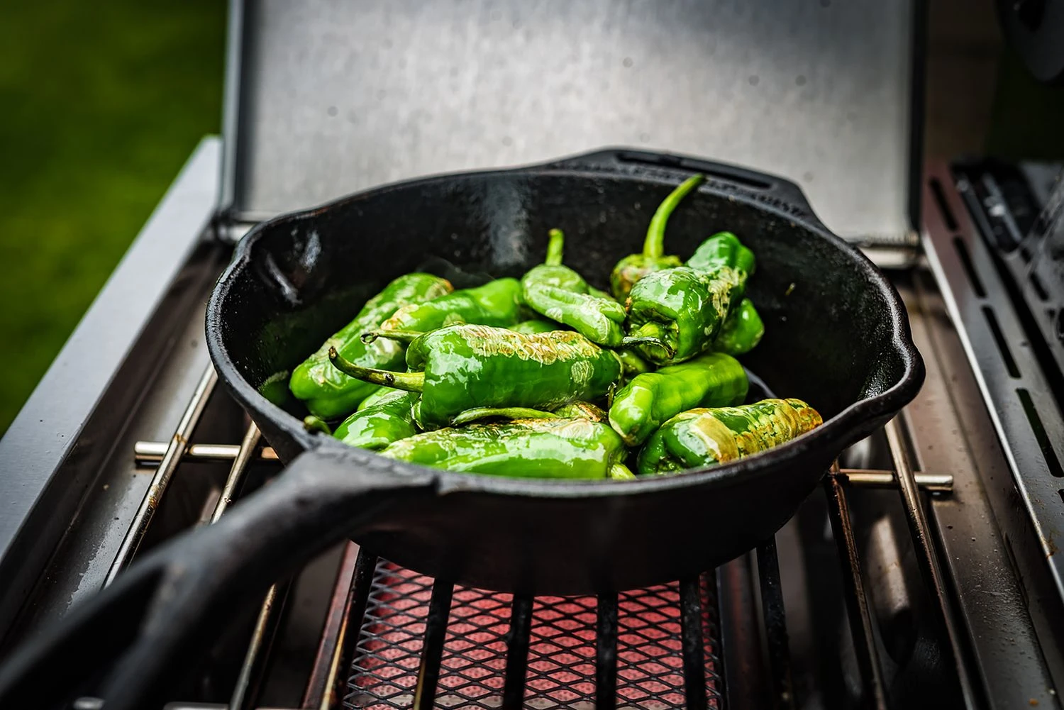 Grillfürst G620E 6-Brenner Gasgrill Mit Hochtemperaturbrenner, Heckbrenner Und Edelstahl Rosten - X-DEAL Inkl. Zubehörpaket 19 Grillfürst G620E 6-Brenner Gasgrill Mit Hochtemperaturbrenner, Heckbrenner Und Edelstahl Rosten - X-DEAL Inkl. Zubehörpaket – Bild 19