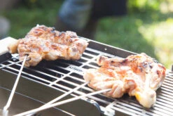 Knister Grill Original - Ausziehbarer Holzkohle Kompaktgrill -Grill Mit Freu Geschaft Knister Grill Spiesse