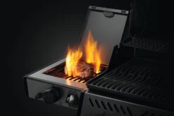 Napoleon Freestyle 365 Gasgrill, Graphit - Mit Sizzle Zone - Modell 2023 -Grill Mit Freu Geschaft Napoleon Freestyle Sizzle Zone