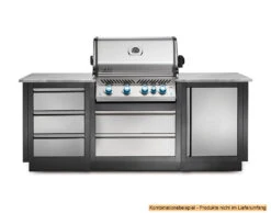 Napoleon Outdoor Küche Oasis Abschluss-Paneele -Grill Mit Freu Geschaft Napoleon Outdoor Kueche Oasis Schubladen Schrank