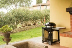 Napoleon Holzkohlegrill Kugelgrill Ø 57cm Im Rollwagen Mit Gussrost Und Deckelscharnier PRO22K-Cart-2 22 Napoleon Holzkohlegrill Kugelgrill Ø 57cm Im Rollwagen Mit Gussrost Und Deckelscharnier PRO22K-Cart-2 -Grill Mit Freu Geschaft napoleon grill terrasse PRO22K CART 2