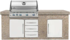 Napoleon LEX 605 Edelstahl Einbaugrill Gas - Modell 2023 -Grill Mit Freu Geschaft napoleon lex605 einbaugrill monatgebeispiel