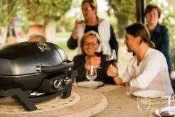 Napoleon TravelQ PRO285 Kompakt Gasgrill Schwarz - Modell 2023 -Grill Mit Freu Geschaft napoleon travelq pro285 als tischgrill 02