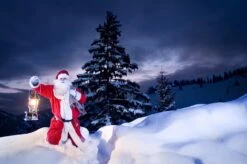 Petromax Petroleumlampe HK500/829 Chrom -Grill Mit Freu Geschaft petromax starklichtlampe hk500 px5c 20