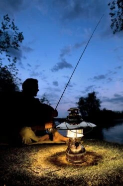 Petromax Petroleumlampe HK500/829 Messing -Grill Mit Freu Geschaft petromax starklichtlampe hk500 px5m 14