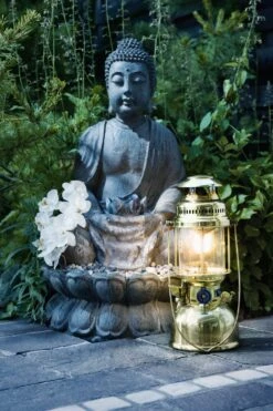 Petromax Petroleumlampe HK500/829 Messing -Grill Mit Freu Geschaft petromax starklichtlampe hk500 px5m 16